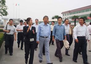 2009年10月8日，全國人大常委會原副委員長許嘉璐視察今世緣。